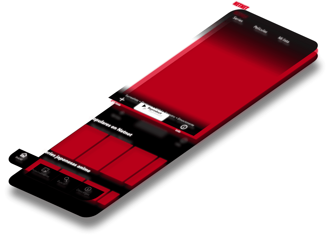 Mockup del proyecto de Netnet